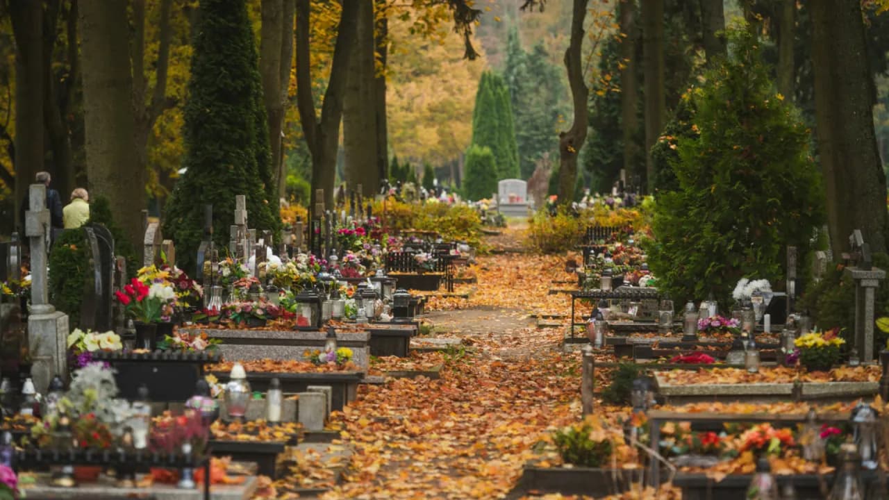 Jak znaleźć grób na cmentarzu? Sprawdzone sposoby na łatwe poszukiwania