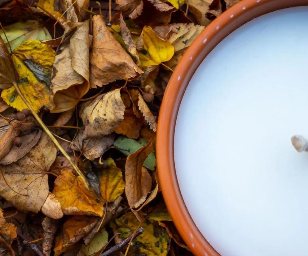 Jak zrobić znicze w prosty sposób - krok po kroku do pięknych zniczy